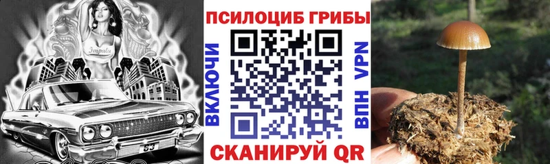 Псилоцибиновые грибы Magic Shrooms Бежецк